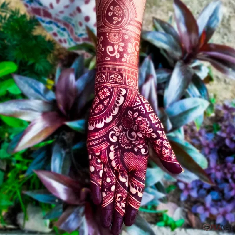 ন্যাচারাল মেহেদী প্রতি কোন (২৫-২৮) গ্রাম