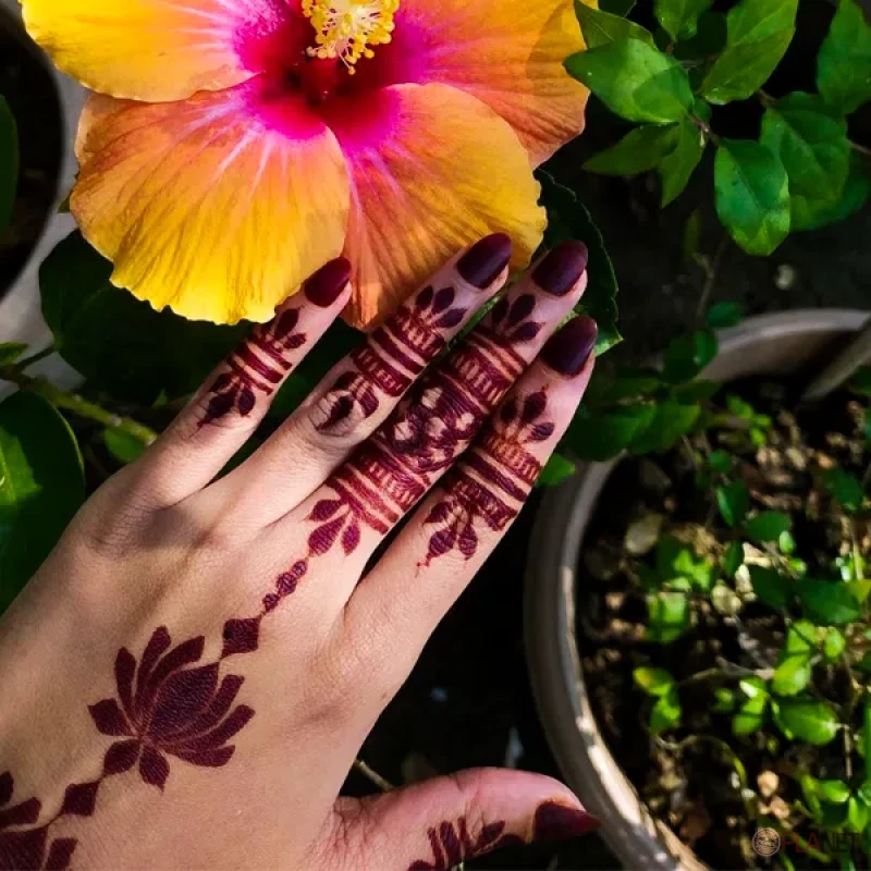 ন্যাচারাল মেহেদী প্রতি কোন (২৫-২৮) গ্রাম