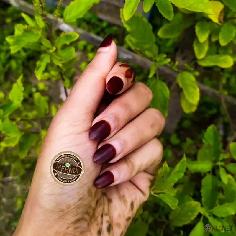 স্পেশাল নখের মেহেদী (১৫-১৮) গ্রাম।