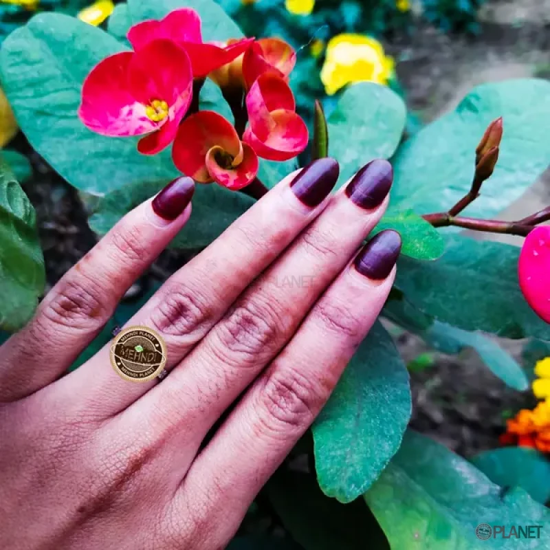 স্পেশাল নখের মেহেদী (১৫-১৮) গ্রাম।